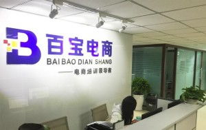 成都百寶教育咨詢(xún) 專(zhuān)業(yè)引領(lǐng)，成就未來(lái)教育之路