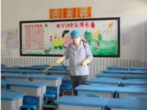 大連地區(qū)專業(yè)蟲害防治與教育咨詢服務(wù)指南