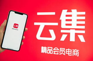 巨頭的圍搶中，會員電商云集的“成長飛輪”還在加速